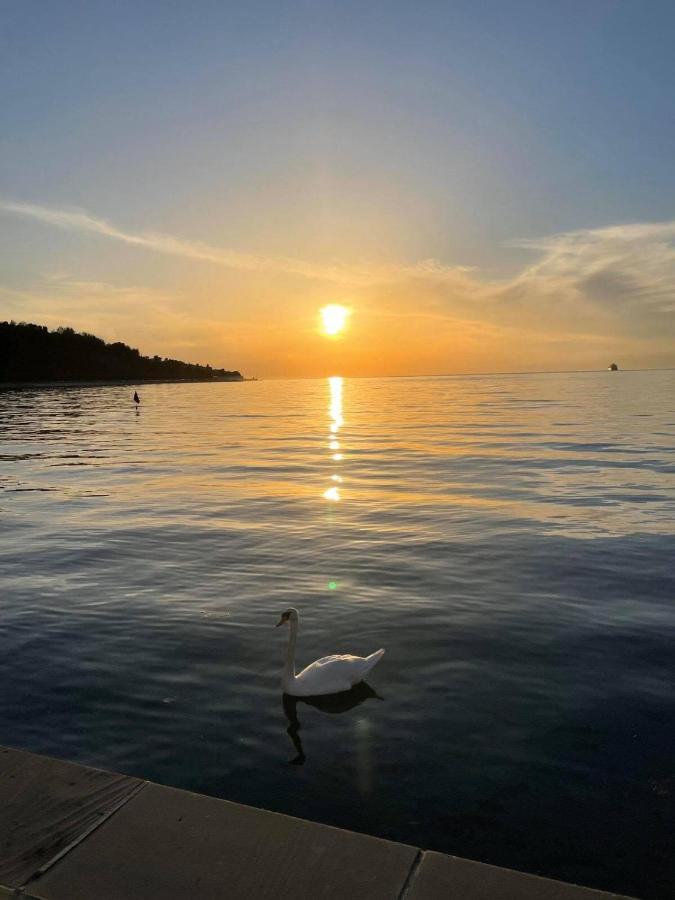 Sun & Koper